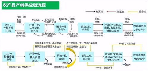 東方鑫達 全方位打造現(xiàn)代化農產品供應鏈體系